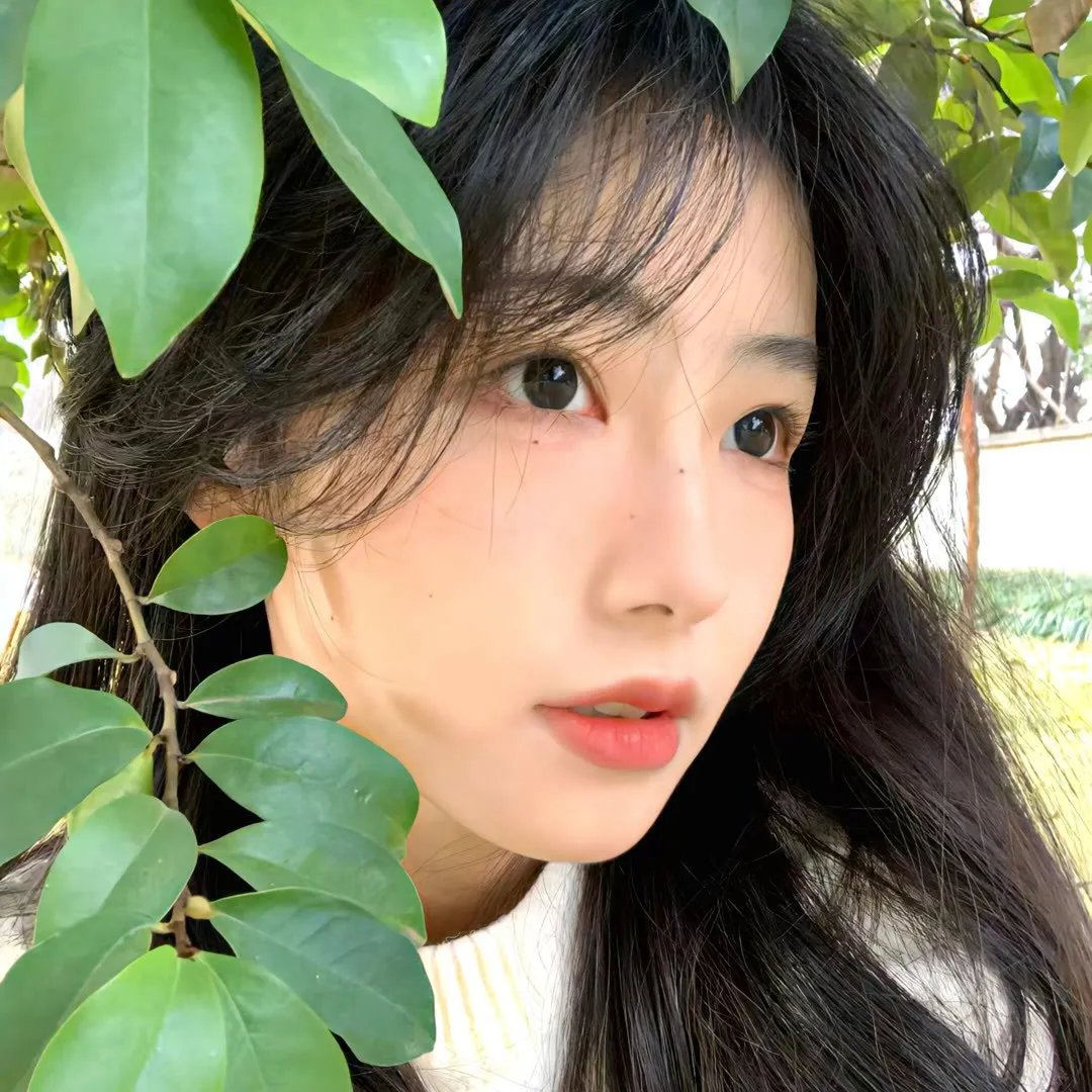 致我们单纯的小美好