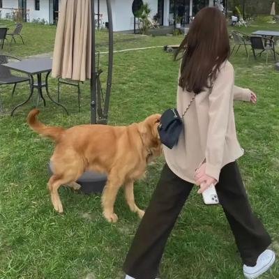 焦土之城